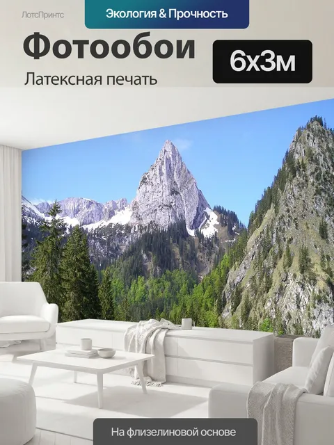 600 × 300 см · Латексная печать