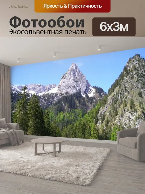 600 × 300 см · Экосольвентная печать