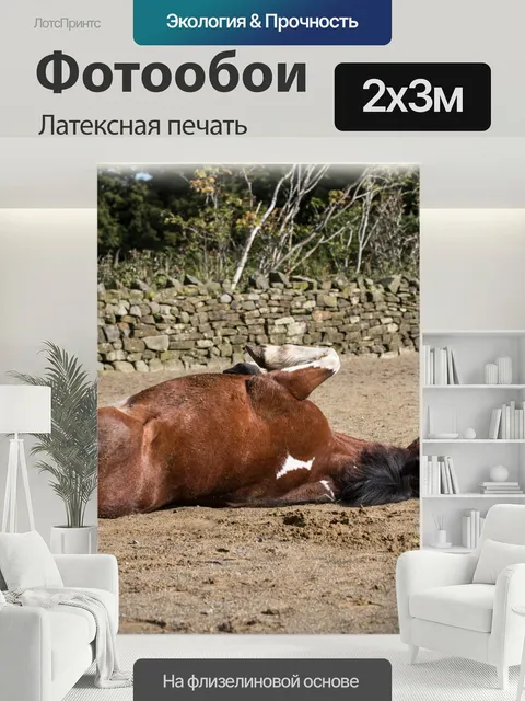 200 × 300 см · Латексная печать