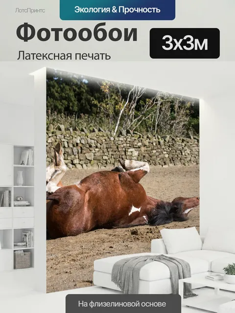 300 × 300 см · Латексная печать