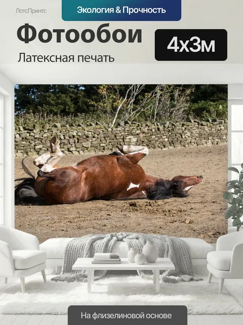 400 × 300 см · Латексная печать