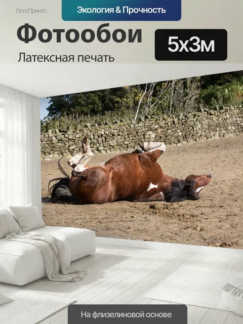 500 × 300 см · Латексная печать