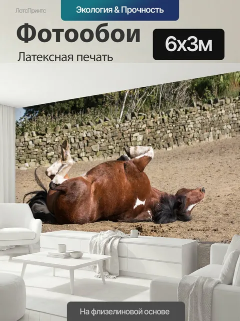 600 × 300 см · Латексная печать