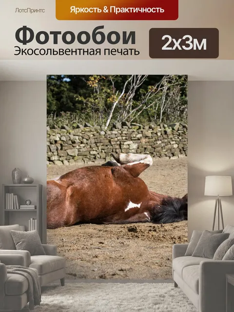 200 × 300 см · Экосольвентная печать