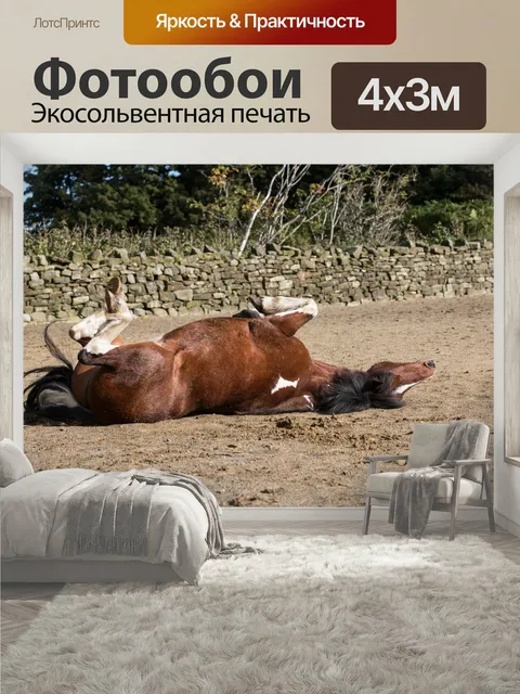 400 × 300 см · Экосольвентная печать