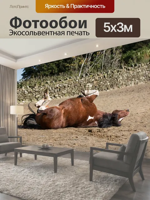 500 × 300 см · Экосольвентная печать