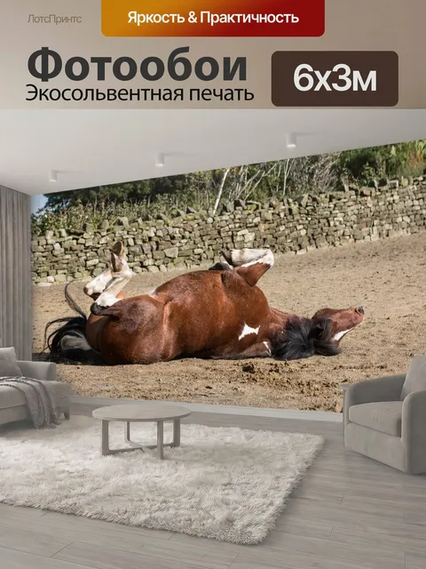 600 × 300 см · Экосольвентная печать