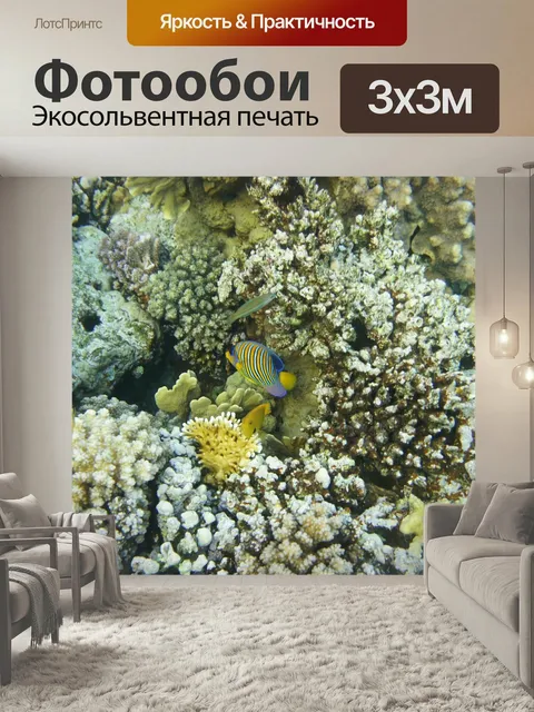 Фотообои Красное море, коралл, тофик