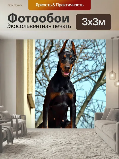 Фотообои Доберман, салон красоты, собака
