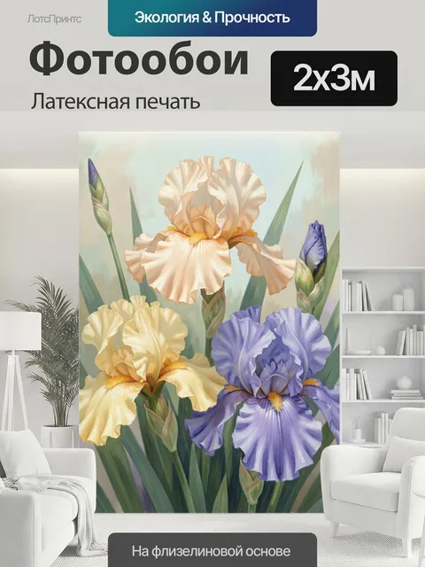 200 × 300 см · Латексная печать