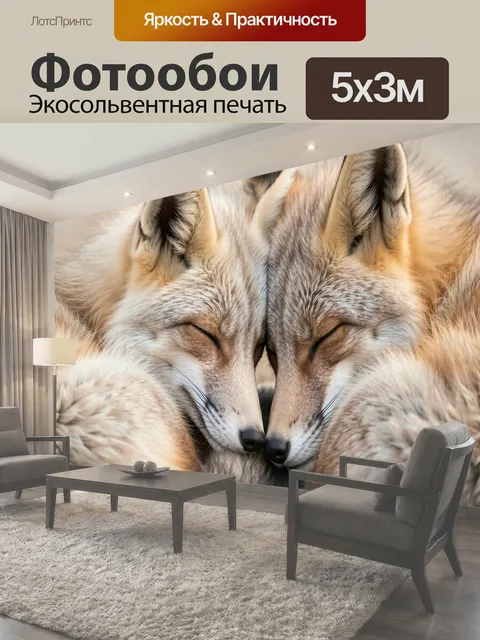Фотообои Спящие лисы в объятиях