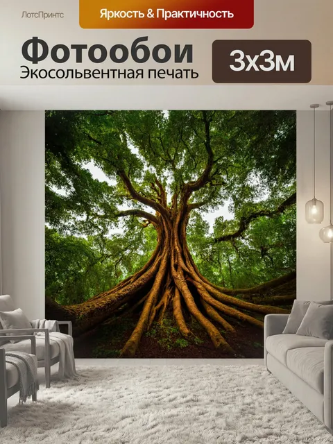 Фотообои Лес со старинными деревьями, которые давят своим возрастом