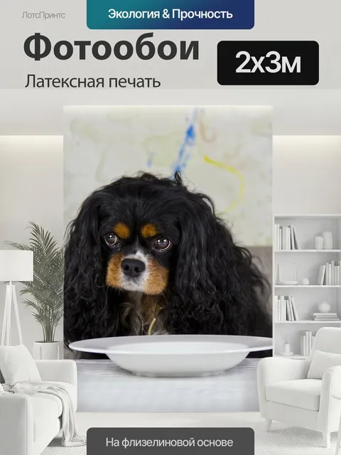 200 × 300 см · Латексная печать