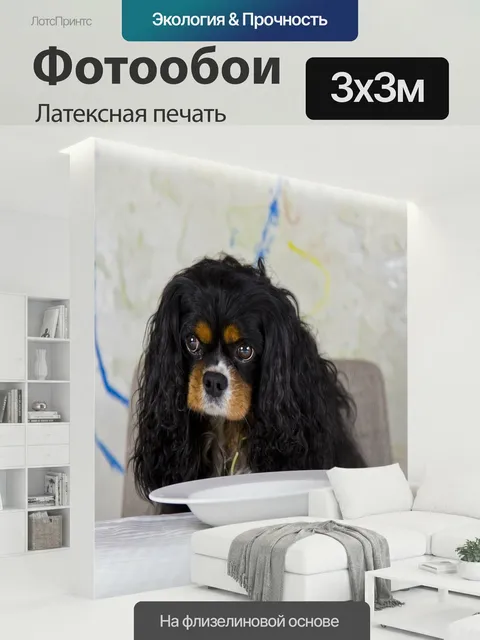300 × 300 см · Латексная печать