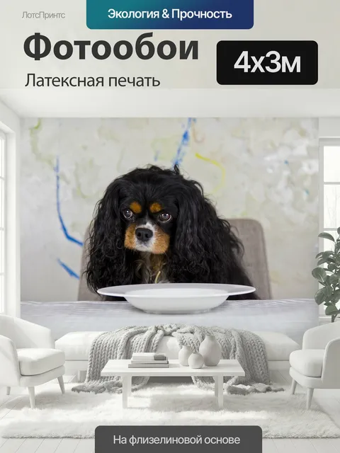 400 × 300 см · Латексная печать