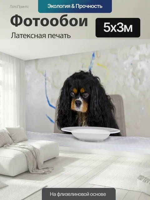 500 × 300 см · Латексная печать