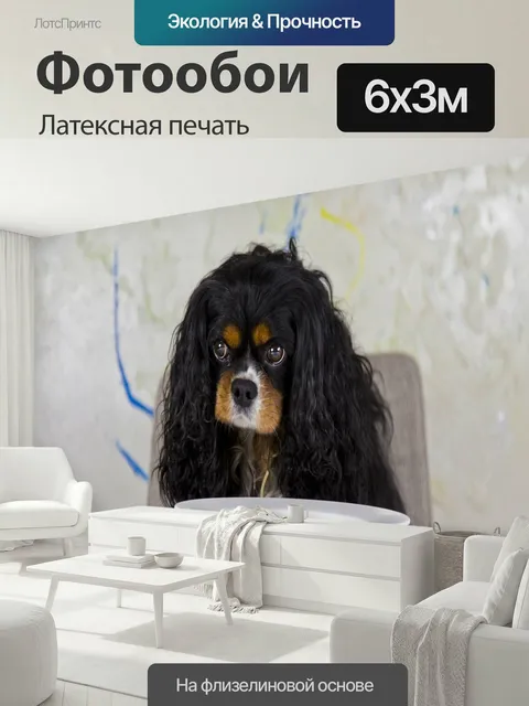 600 × 300 см · Латексная печать