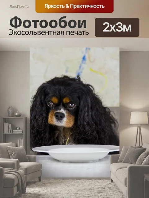 200 × 300 см · Экосольвентная печать