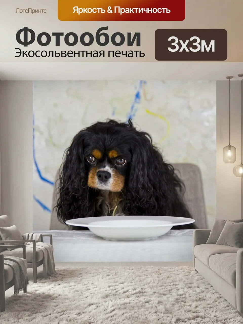 Фотообои Кавалер, кинг, кавалер кинг чарльз спаниель