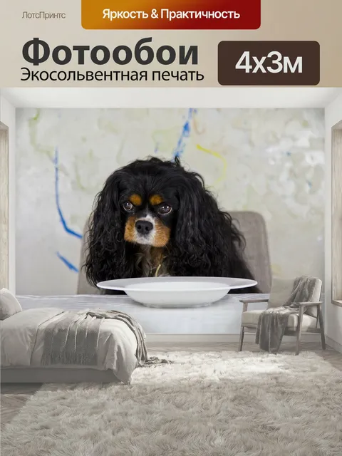 400 × 300 см · Экосольвентная печать