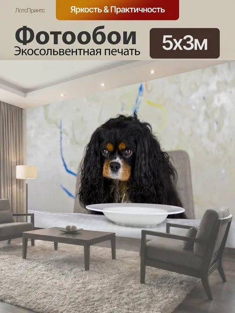 500 × 300 см · Экосольвентная печать
