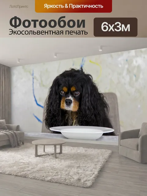 600 × 300 см · Экосольвентная печать
