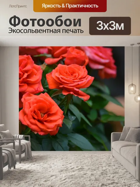 Фотообои Цветы, розы, сад
