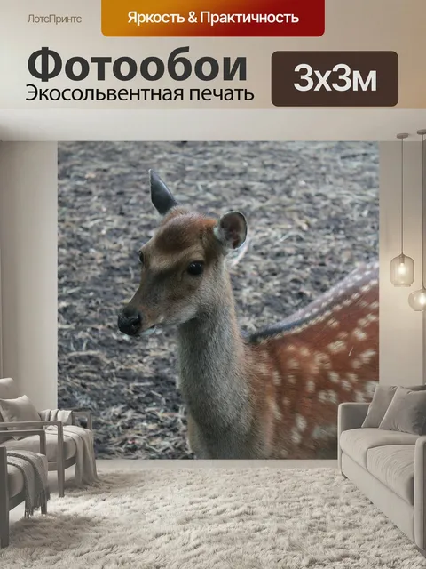 Фотообои Лань, олень, дама дама