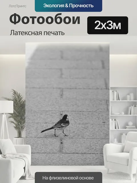 200 × 300 см · Латексная печать
