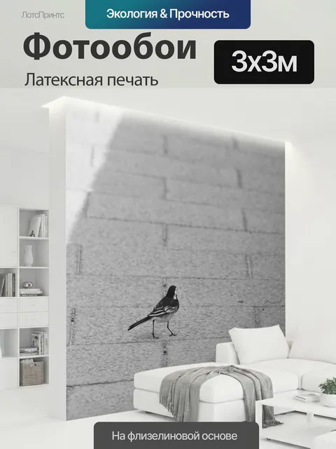 300 × 300 см · Латексная печать