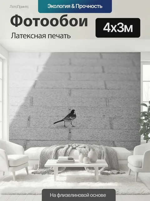 400 × 300 см · Латексная печать