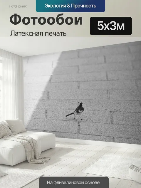 500 × 300 см · Латексная печать