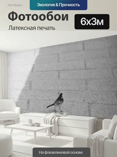600 × 300 см · Латексная печать