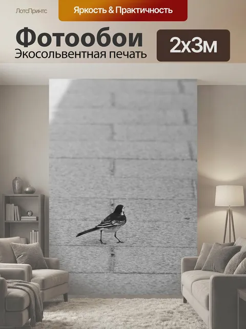 200 × 300 см · Экосольвентная печать