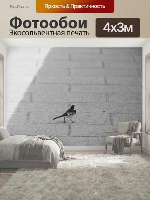 400 × 300 см · Экосольвентная печать