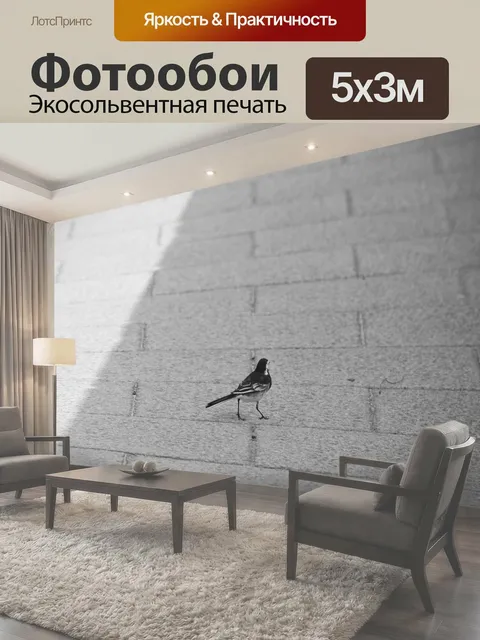 Фотообои Трясогузка на тротуаре Маленькая