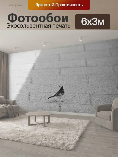 600 × 300 см · Экосольвентная печать