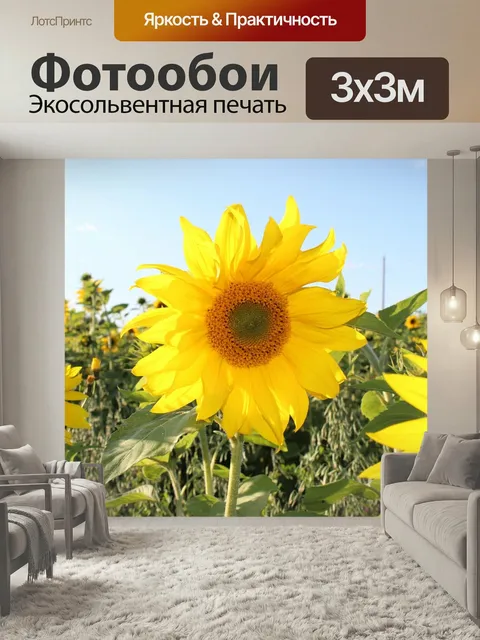 Фотообои Подсолнух, желтые цветы, лето