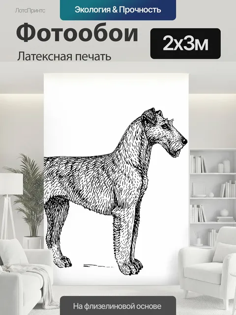 200 × 300 см · Латексная печать
