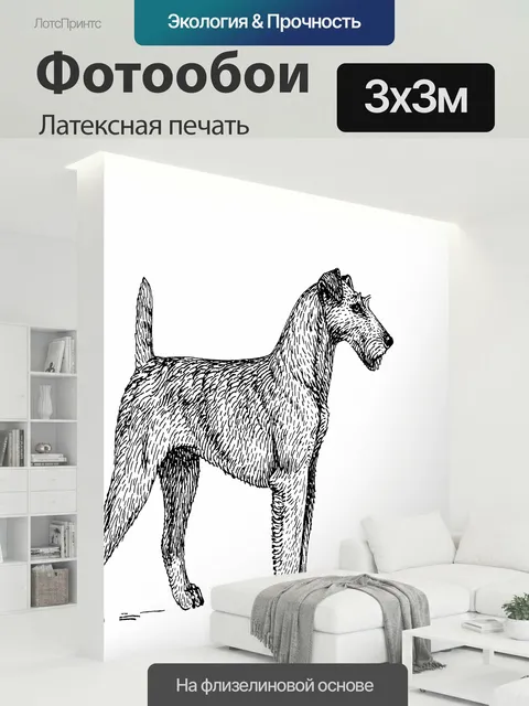 300 × 300 см · Латексная печать