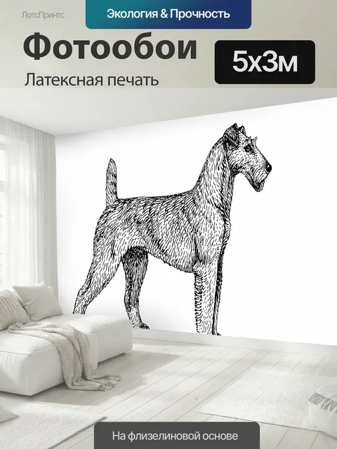 500 × 300 см · Латексная печать