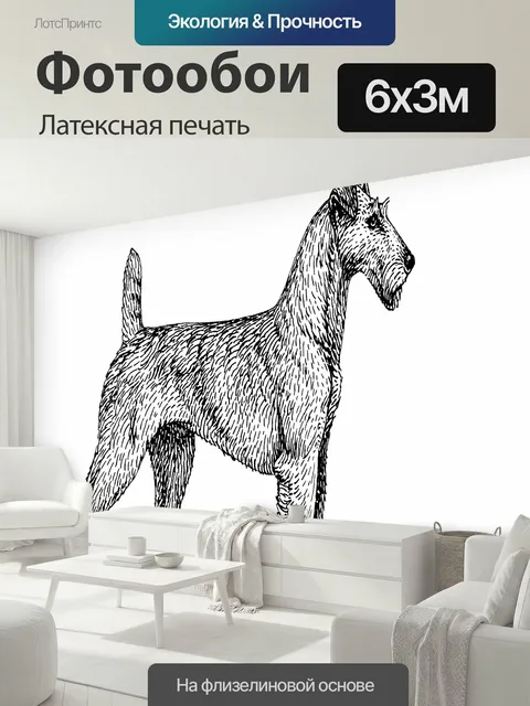 600 × 300 см · Латексная печать