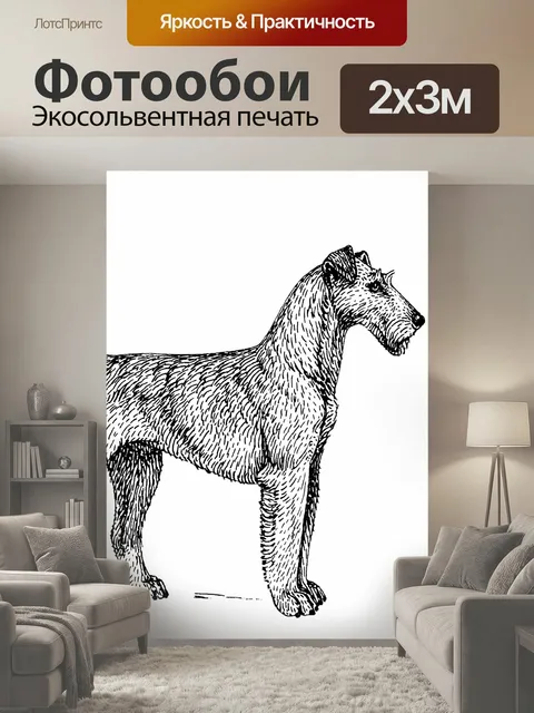 200 × 300 см · Экосольвентная печать