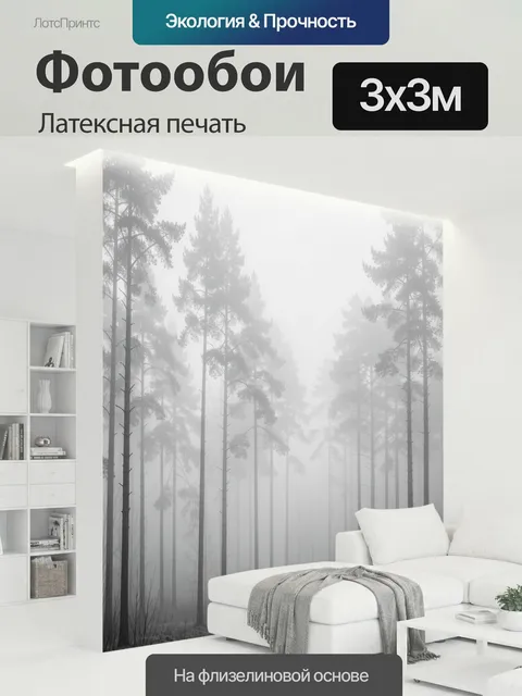 300 × 300 см · Латексная печать