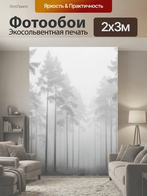 200 × 300 см · Экосольвентная печать