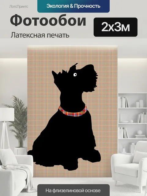 200 × 300 см · Латексная печать
