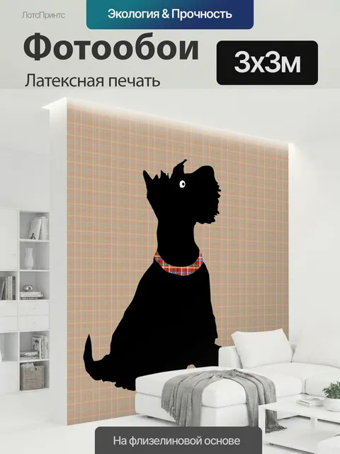 300 × 300 см · Латексная печать