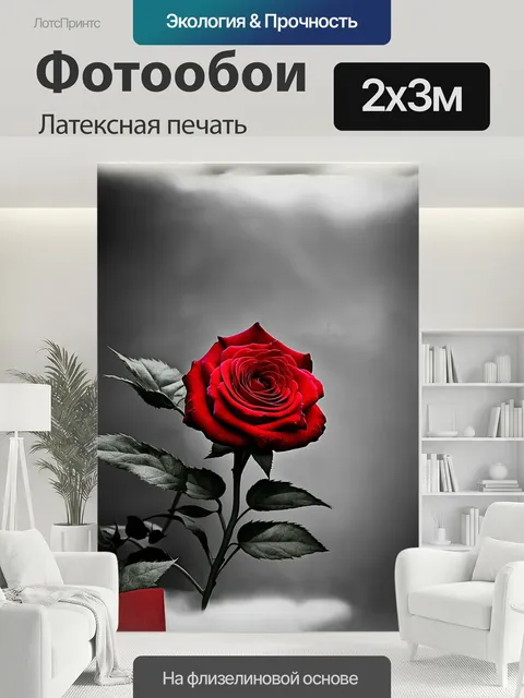 200 × 300 см · Латексная печать