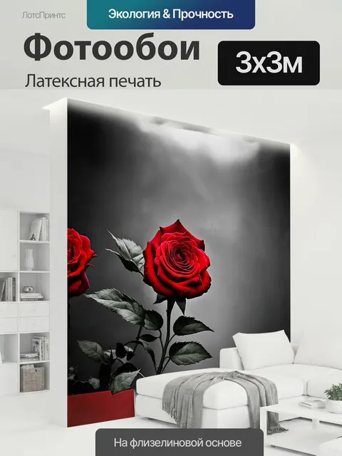 300 × 300 см · Латексная печать