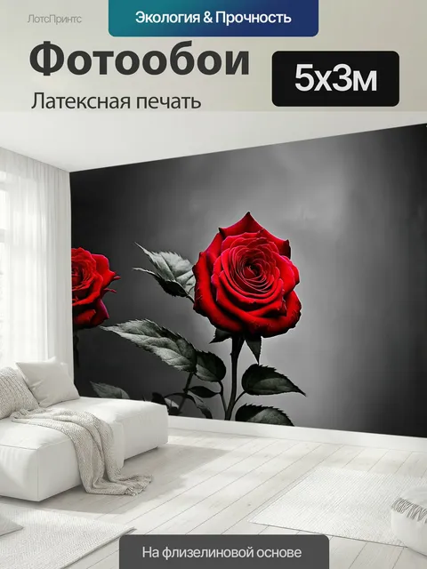 500 × 300 см · Латексная печать